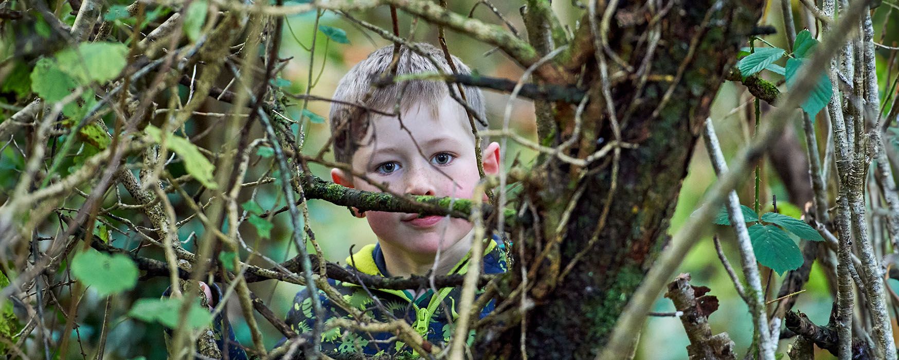 forest-school-hero-700