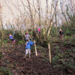 gallery_0002_IMG_1345