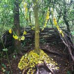 gallery_0010_20240615_122321
