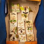 gallery_0011_20240613_114201