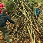 Den building